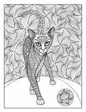 Кошка