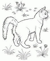 Гуляеи