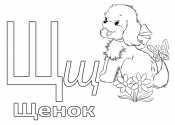 Азбука в картинках Щ