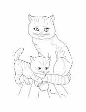 Кошка и котенок