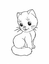 Котенок
