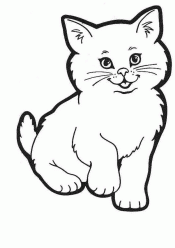 Котик