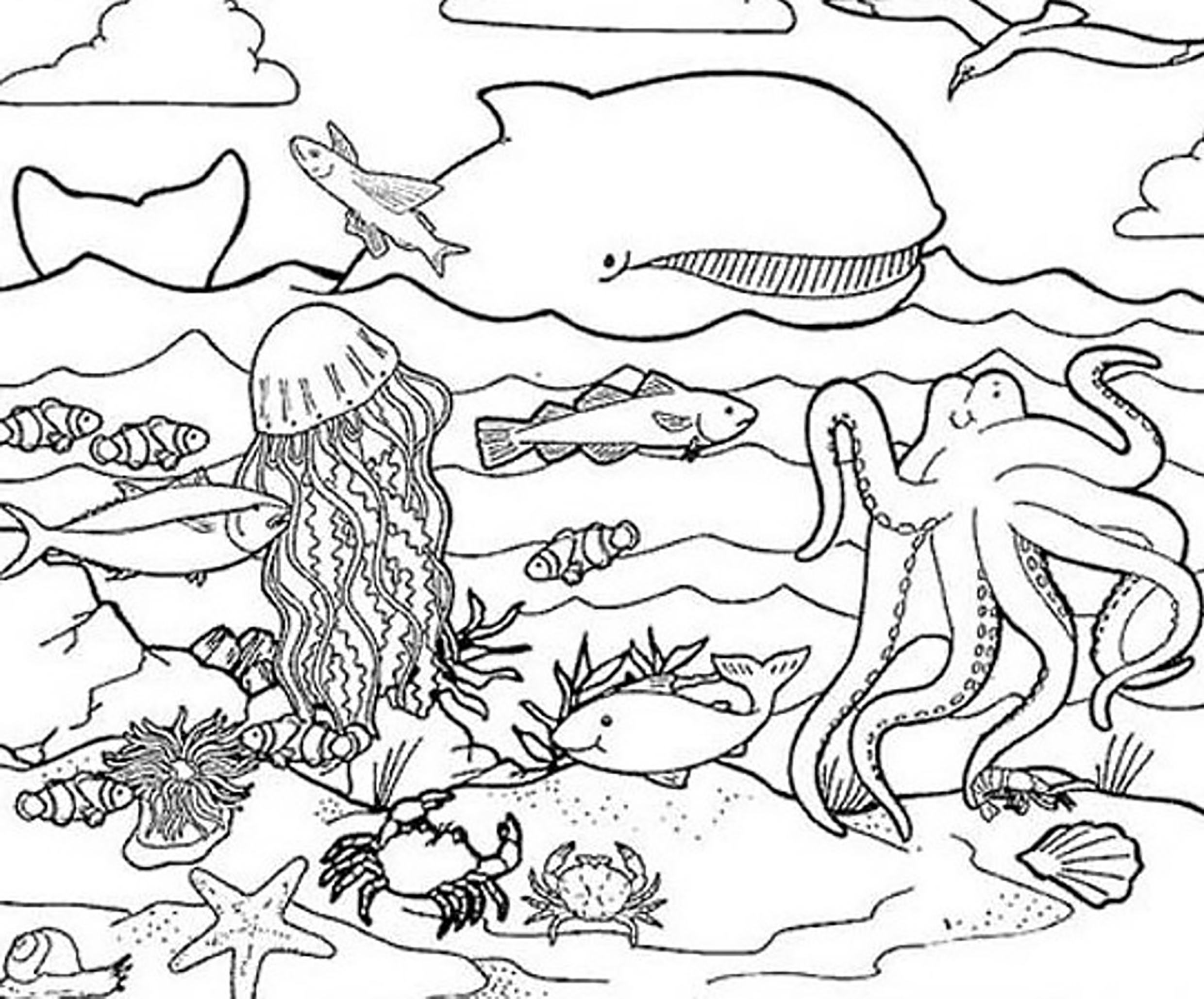 Тихий океан рисунки. Раскраска морские обитатели. В море. Раскраска. Раскраска "подводный мир". Подводный мир раскраска для детей.