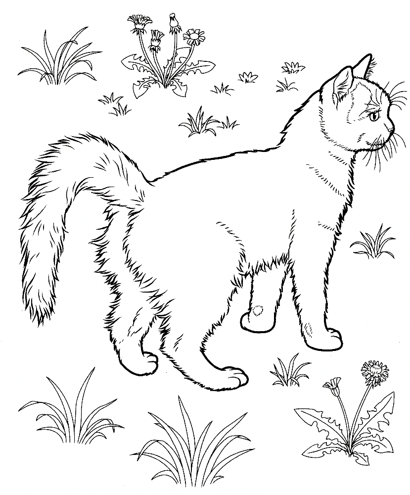 Раскраска новогодний котик