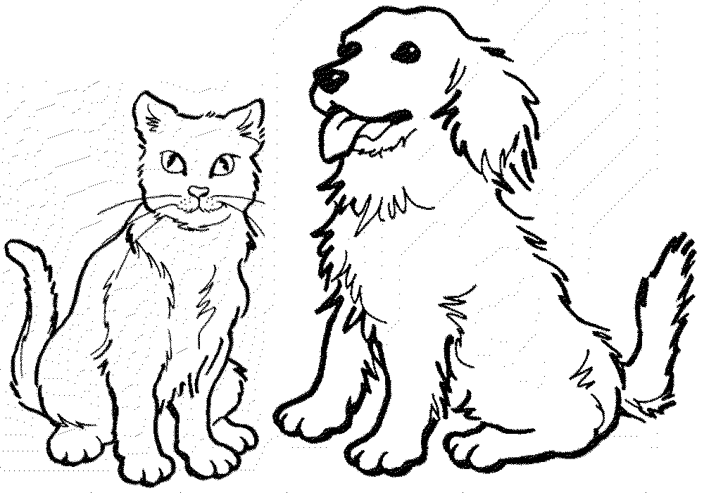 Раскраски Кошки И Собаки Распечатать