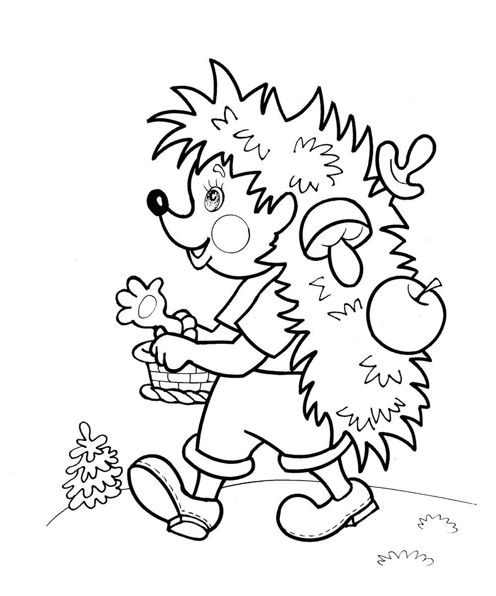  7 8 