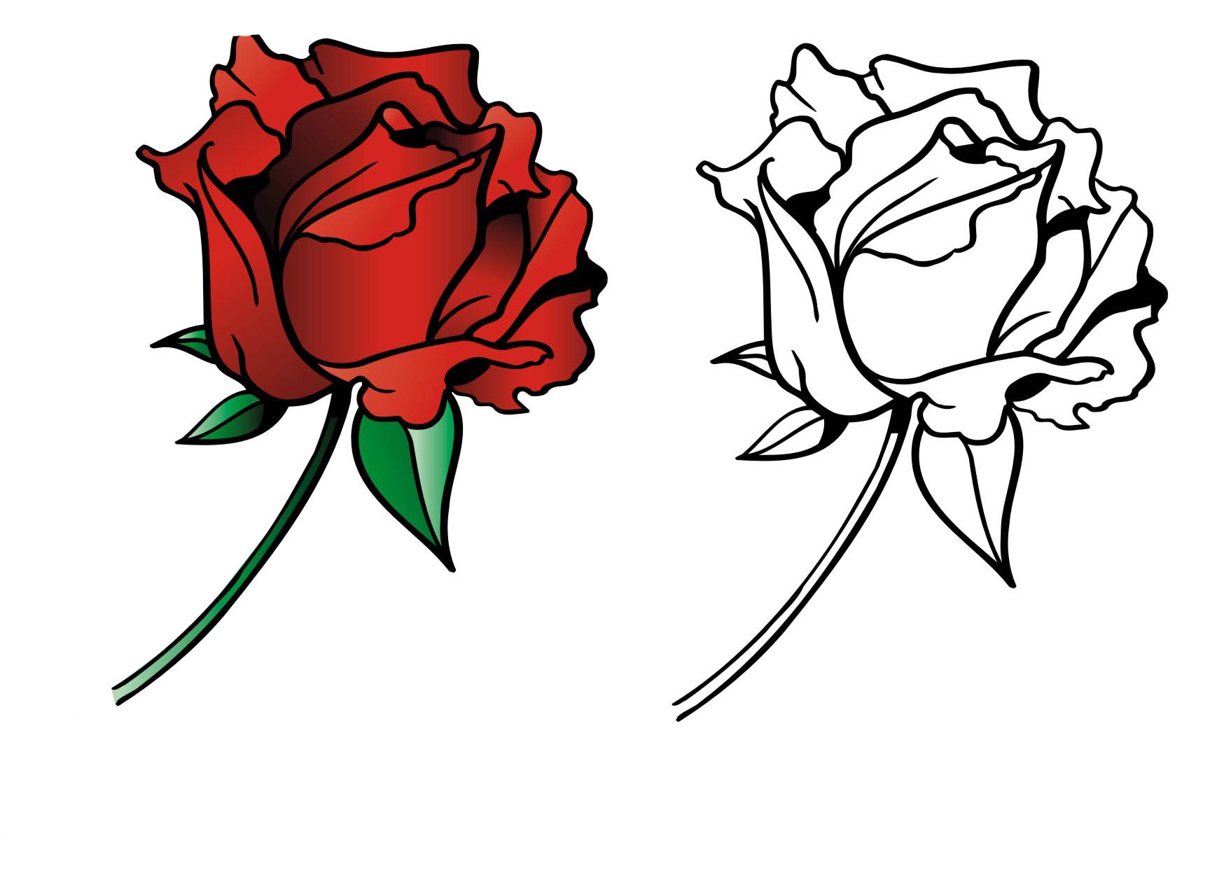Красная роза раскраска - 58 фото