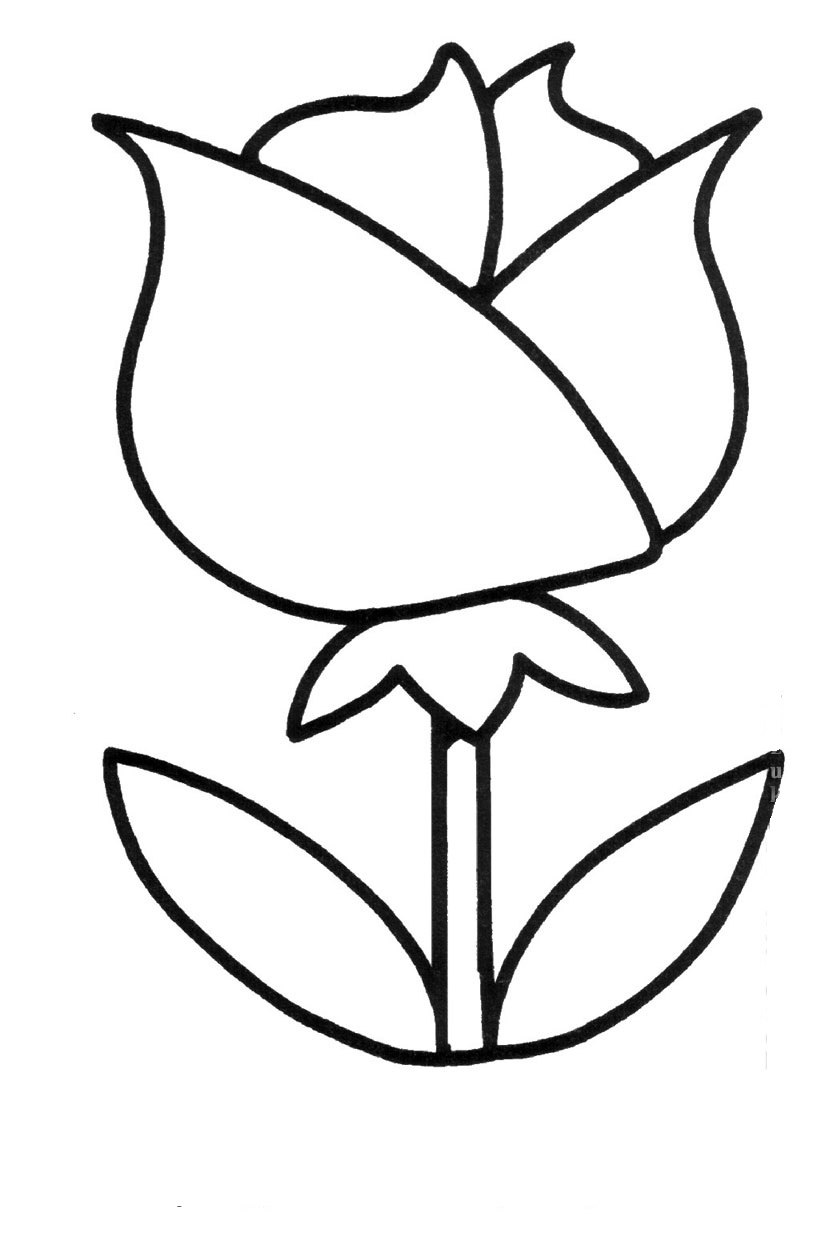  3 4 