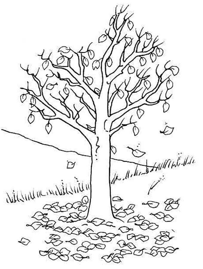 Раскраска Дерево без листьев | РАСКРАСКУ .РФ - распечатать и скачать