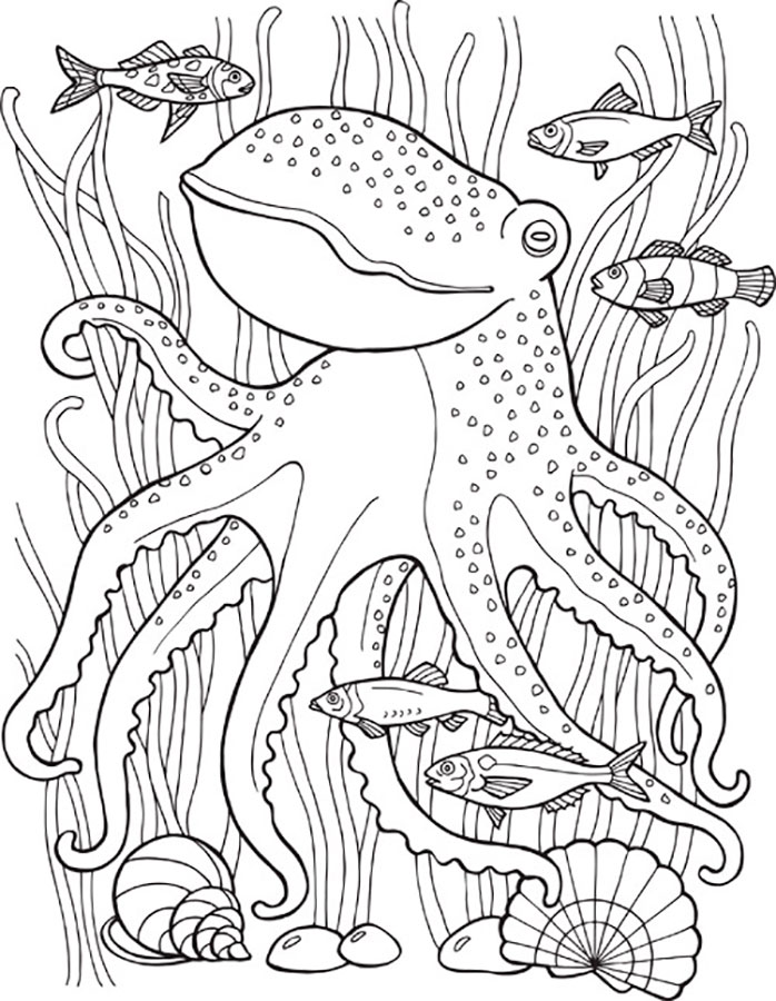 Раскраска первая А4 Морские животные