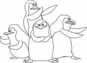 4 пингвины