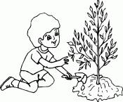 Мальчик посадил дерево