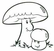 Раскраска грибы для детей