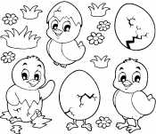 Птенцы в яйцах
