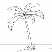 Пальма на берегу