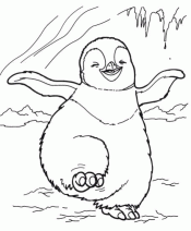 Маленький пингвин
