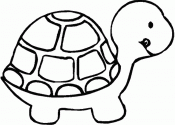 Рисунок черепаха