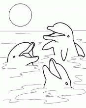 Три дельфина