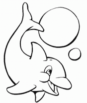 дельфин с мячом