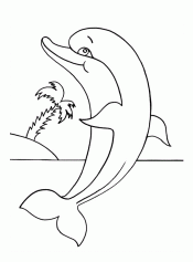 Дельфин у берега