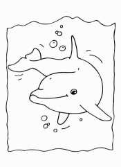 Раскраски дельфин