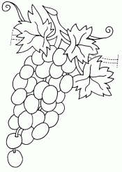 Виноград с листьями