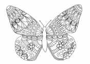 Антистресс бабочка
