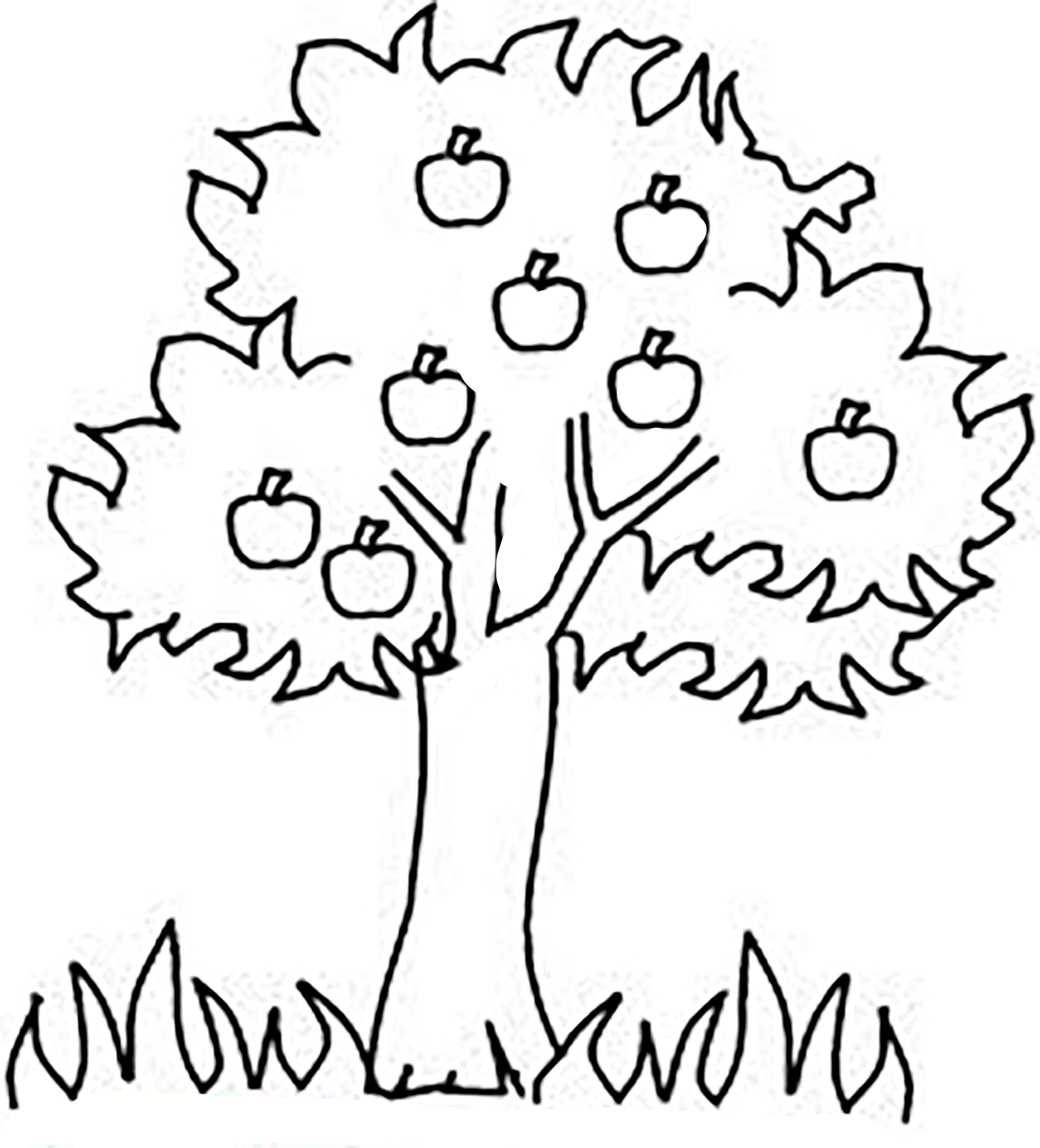 Деревья напечатать. Дерево раскраска. Дерево раскраска для детей. Дерево раскраска для малышей. Дерево трафарет для рисования.